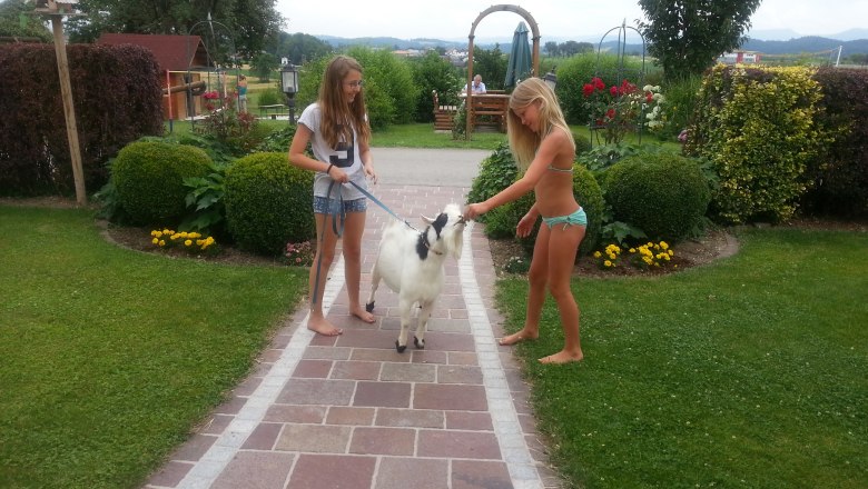 Goat walk, © Lothspieler