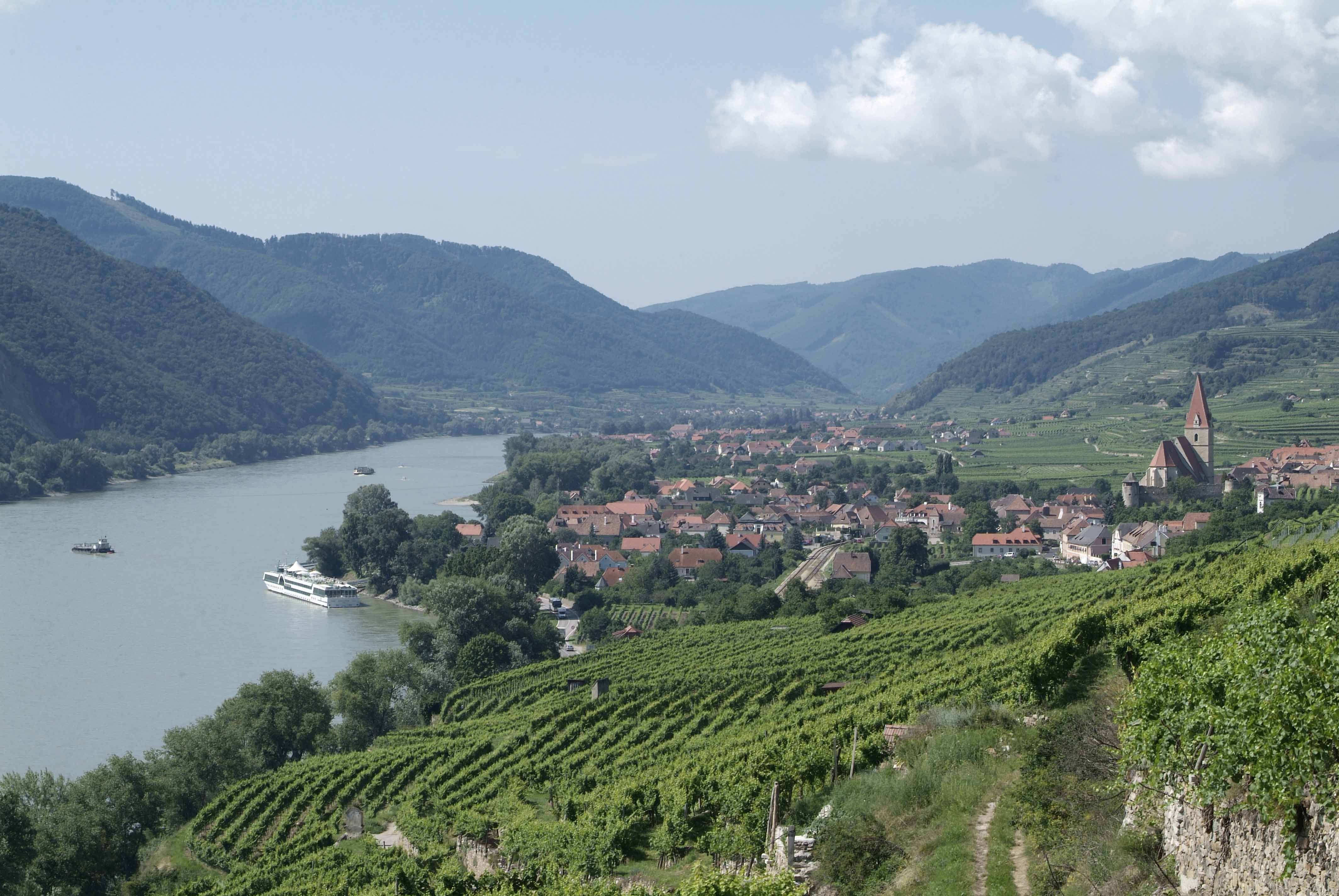 Pohľad na Weißenkirchen vo Wachau s Dunajom a vinicami.