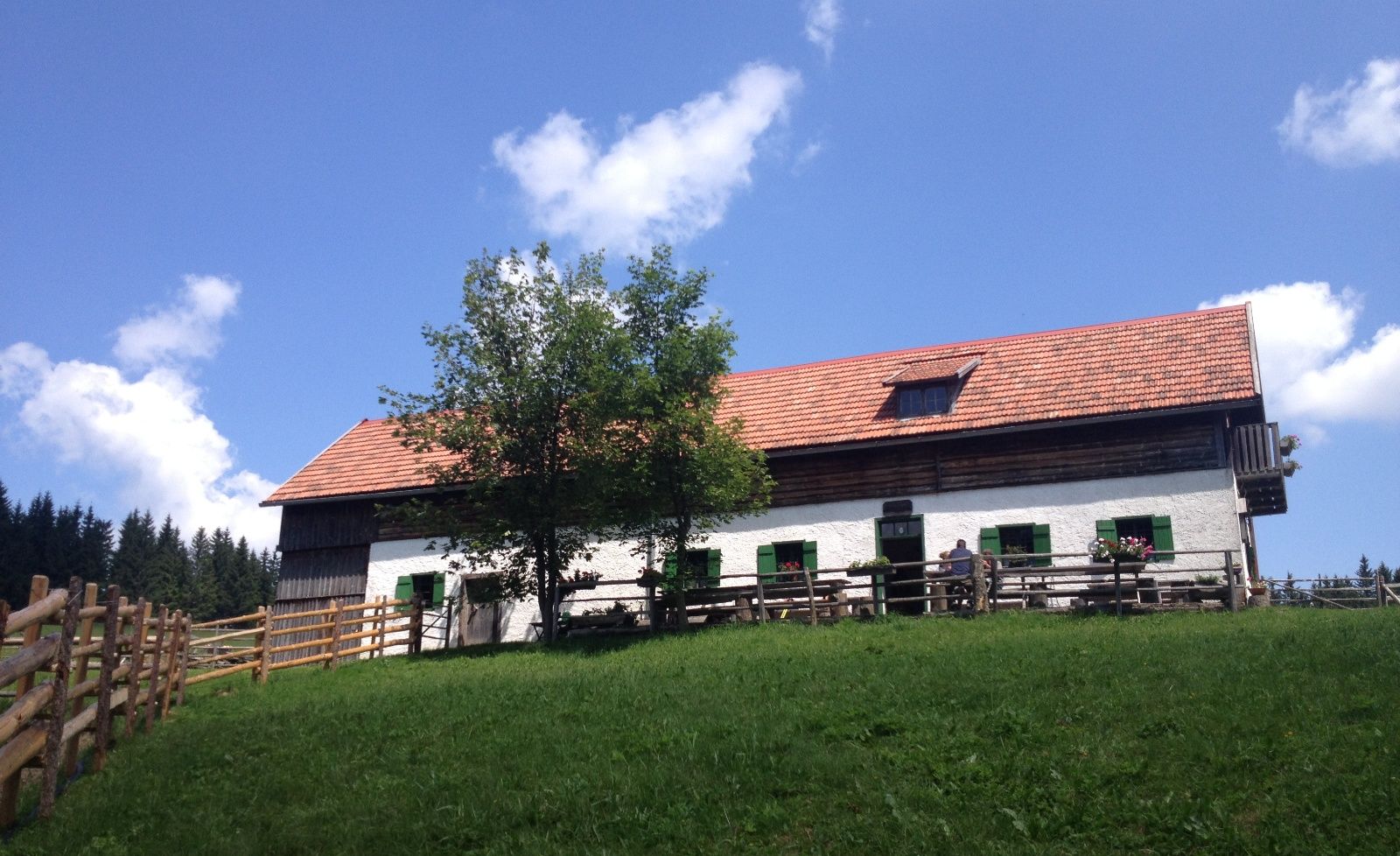 Tradičná alpská budova s červenou škridlovou strechou a zelenými okenicami na lúke pod modrou oblohou.