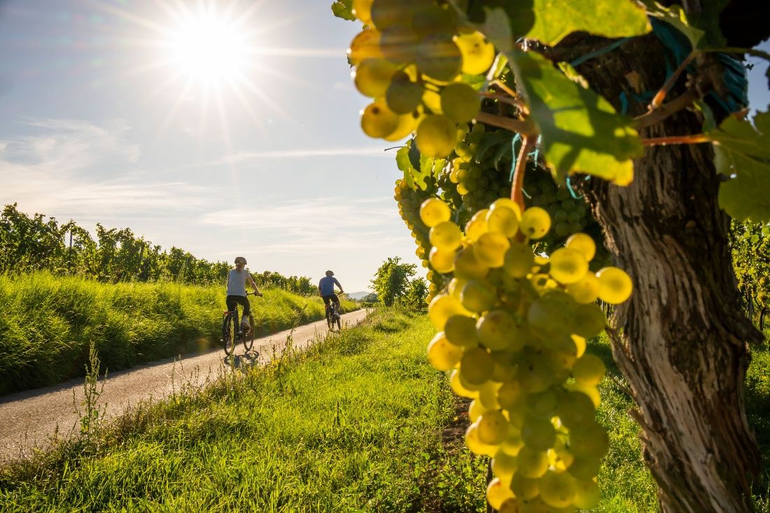 Cyklistika v Kamptal
