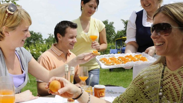 Product tasting, &copy; Steve Haider