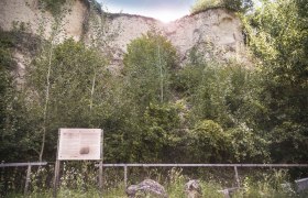 Geologischer Lehrpfad Mautern, &copy; Daniela Matejschek