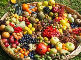 Obstkorb, &copy; WAGRAM