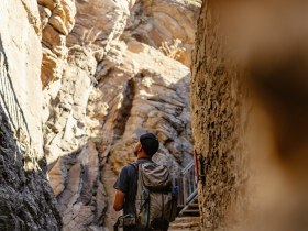 bei der Ruine Aggstein, &copy; Wachau-Nibelungengau-Kremstal