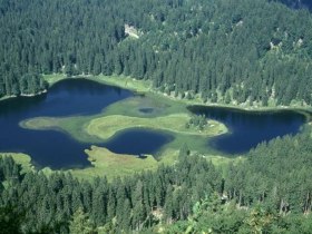 Drei-Seen-Tour Lunz, &copy; Mostviertel