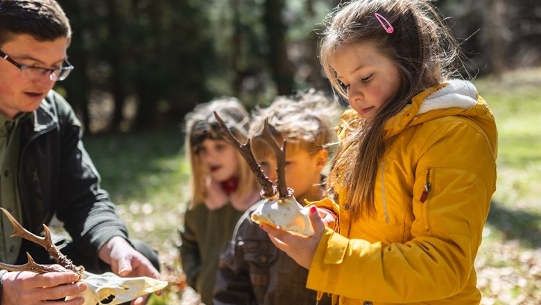 Vyhl&aacute;senia o love, &copy; Wunderwelt Wald, Fotograf Benjamin Wald