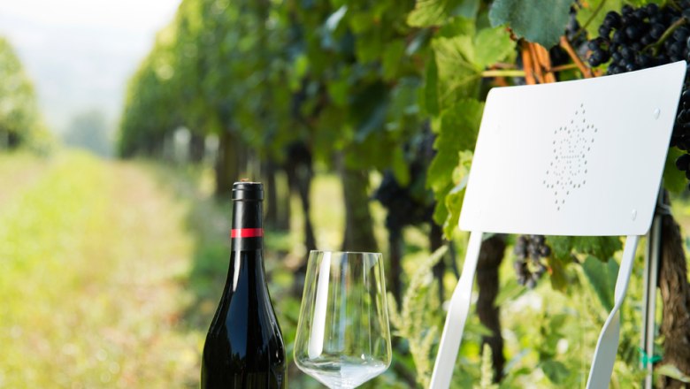 Vinohrad Glatzer, G&ouml;ttlesbrunn, &copy; Weingut Glatzer