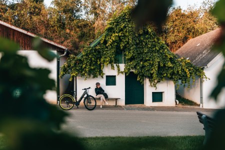 Vždy po stopách viniča, © Niederösterreich Werbung/Romeo Felsenreich