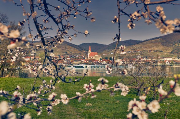 Weißenkirchen, Wachau, © Niederösterreich-Werbung/Andreas Hofer