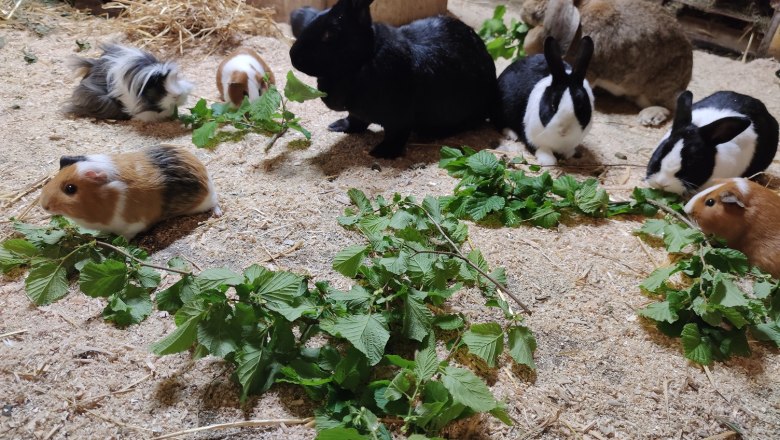 &copy; Gasthof Digruber