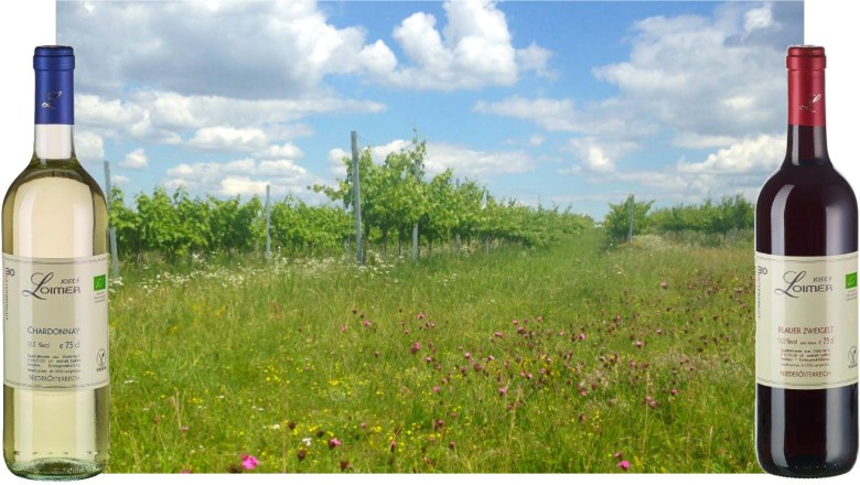 summer_3, &copy; Josef Loimer