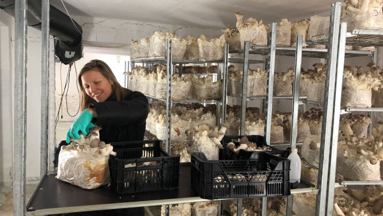 Edelpilzzucht Reiser, Rohrau,, &copy; Biopilzzucht Reiser