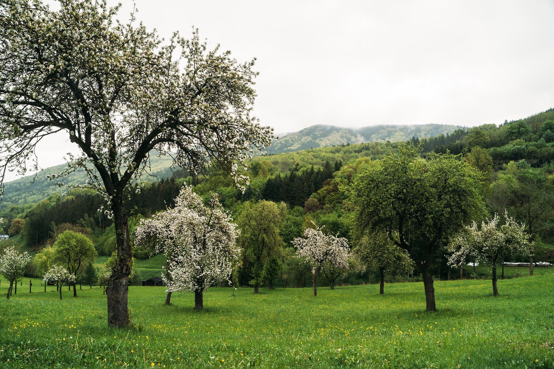 Spôsob života, turistika, diaľková turistika
