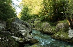 Die sanften Wellen des klaren Wassers schlängeln sich durch die beeindruckende Schlucht, umgeben von üppigem Grün und majestätischen Felsen. Hier, wo die Natur in voller Pracht erblüht, lädt die idyllische Landschaft zu erholsamen Wanderungen und unvergesslichen Momenten ein.