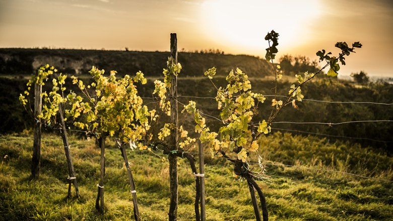 Wagram Herbstlandschaft, &copy; Robert Herbst