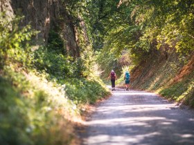 Furth, Zellergraben, &copy; Wachau-Nibelungengau-Kremstal