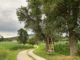 Am Fr&ouml;schlauweg, &copy; Marktgemeinde Seitenstetten