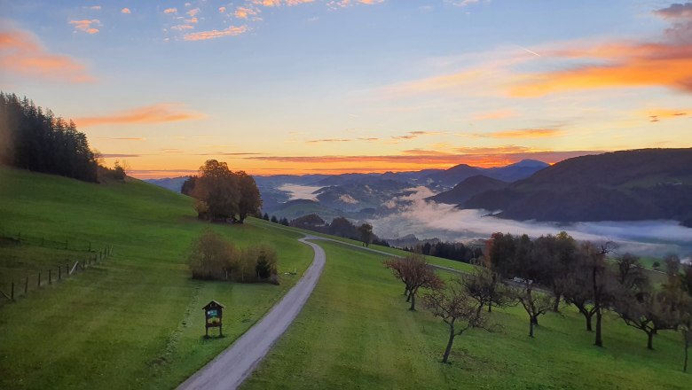 Rann&aacute; n&aacute;lada, &copy; Melanie Schweighuber