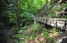 Hagenbach gorge in the oak grove, © Naturparke Niederösterreich/Robert Herbst