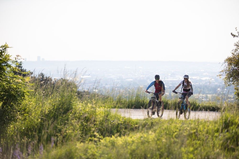 MTB Viedenský les