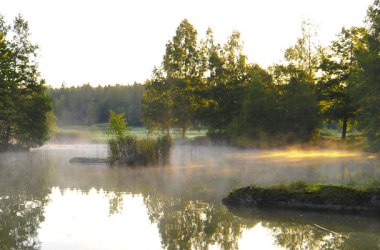 Prírodná rezervácia Blockheide, © Naturparke Niederösterreich/Robert Herbst