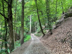 Jauerling-Runde 03: Maria Laach-Emmersdorf, &copy; Wachau-Nibelungengau-Kremstal