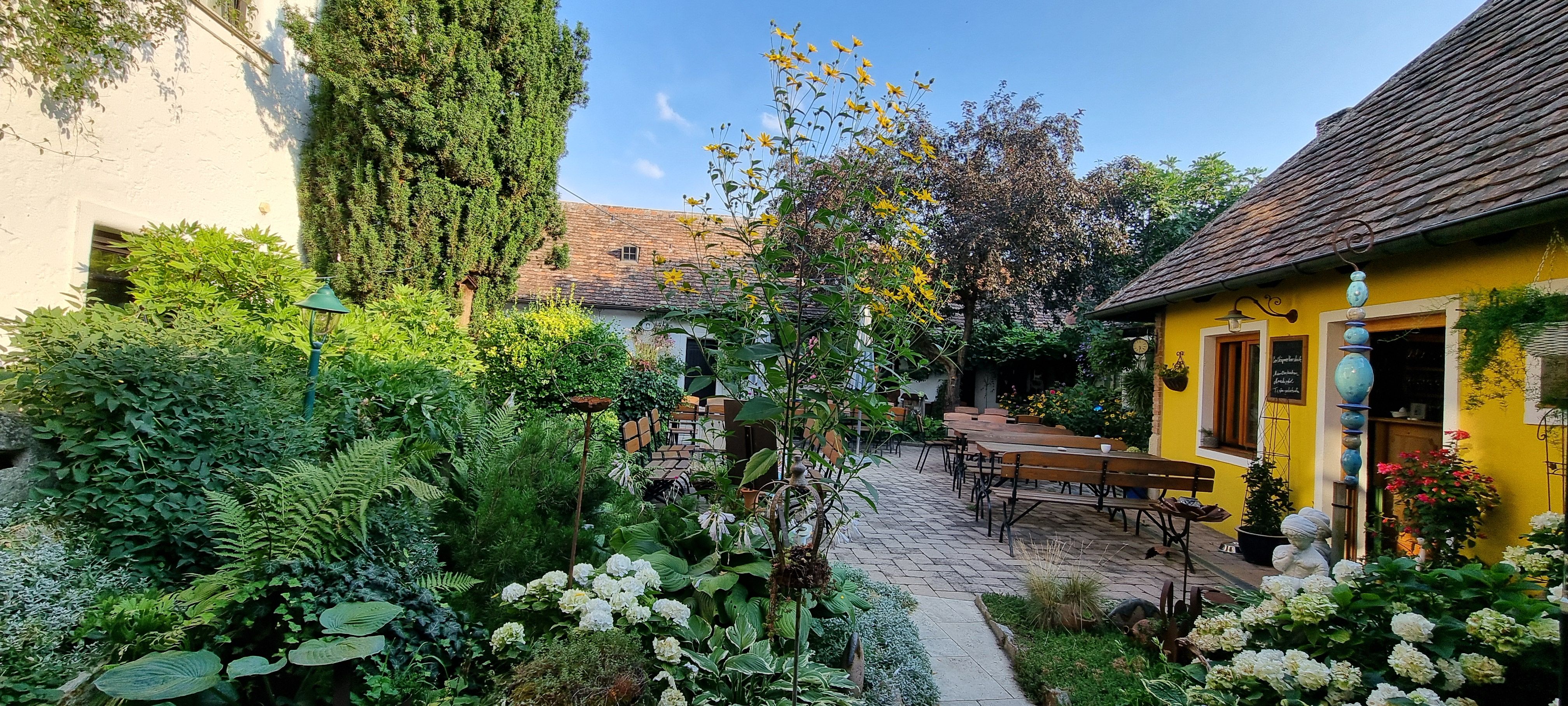 Útulná záhrada so žltou budovou, drevenými lavičkami a bujnou vegetáciou pod modrou oblohou.