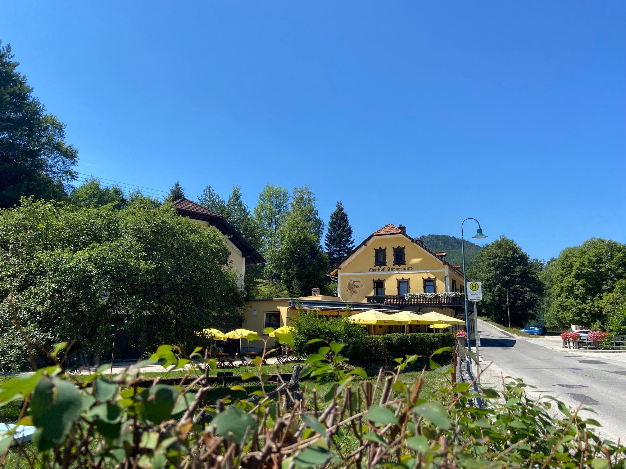 Žltý hostinec s terasou a slnečníkmi, obklopený stromami a cestou.