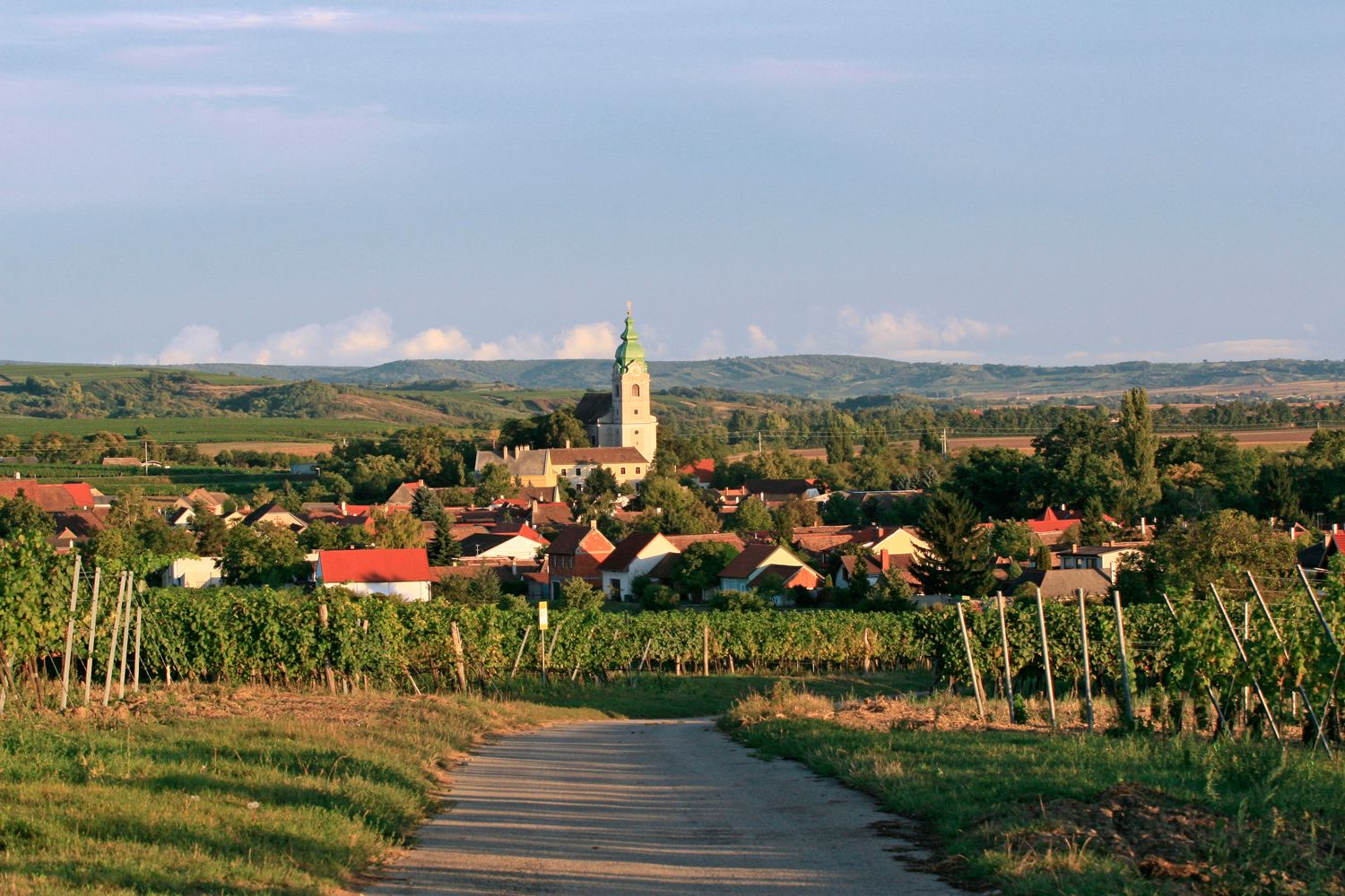 Pohľad na obec Unterretzbach s kostolom a vinicami v popredí.