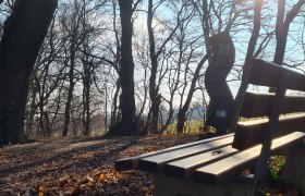 Nani Au im Winter, Marchegg, © Donau Niederösterreich - Tourismusbüro Carnuntum-Marchfeld