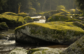Kamp Valley ("Kamptal" in German) between Zwettl and Roiten, &copy; Matthias Schickhofer