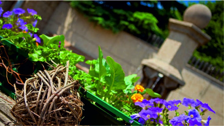 Lindabrunn, &copy; Marktgemeinde Enzesfeld-Lindabrunn