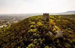 Umgeben von üppigem Grün und majestätischen Bäumen, erhebt sich die alte Burgruine stolz über das Tal. Die sanften Hügel und die klare Luft laden zu einem unvergesslichen Ausblick ein, der die Seele berührt und zum Verweilen einlädt.