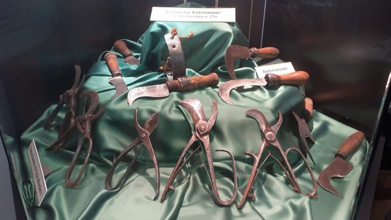 M&uacute;zeum vinohradn&iacute;ctva, &copy; Verena Schnatter