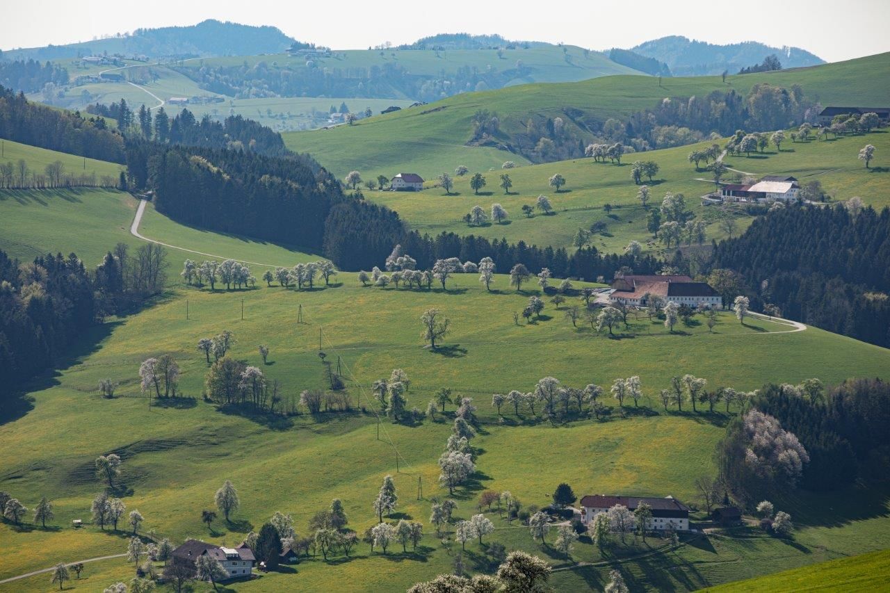 Fotografický bod Mostviertel