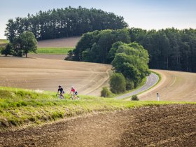 Rennradfahren in der Buckligen Welt, &copy; Wiener Alpen, Martin F&uuml;l&ouml;p