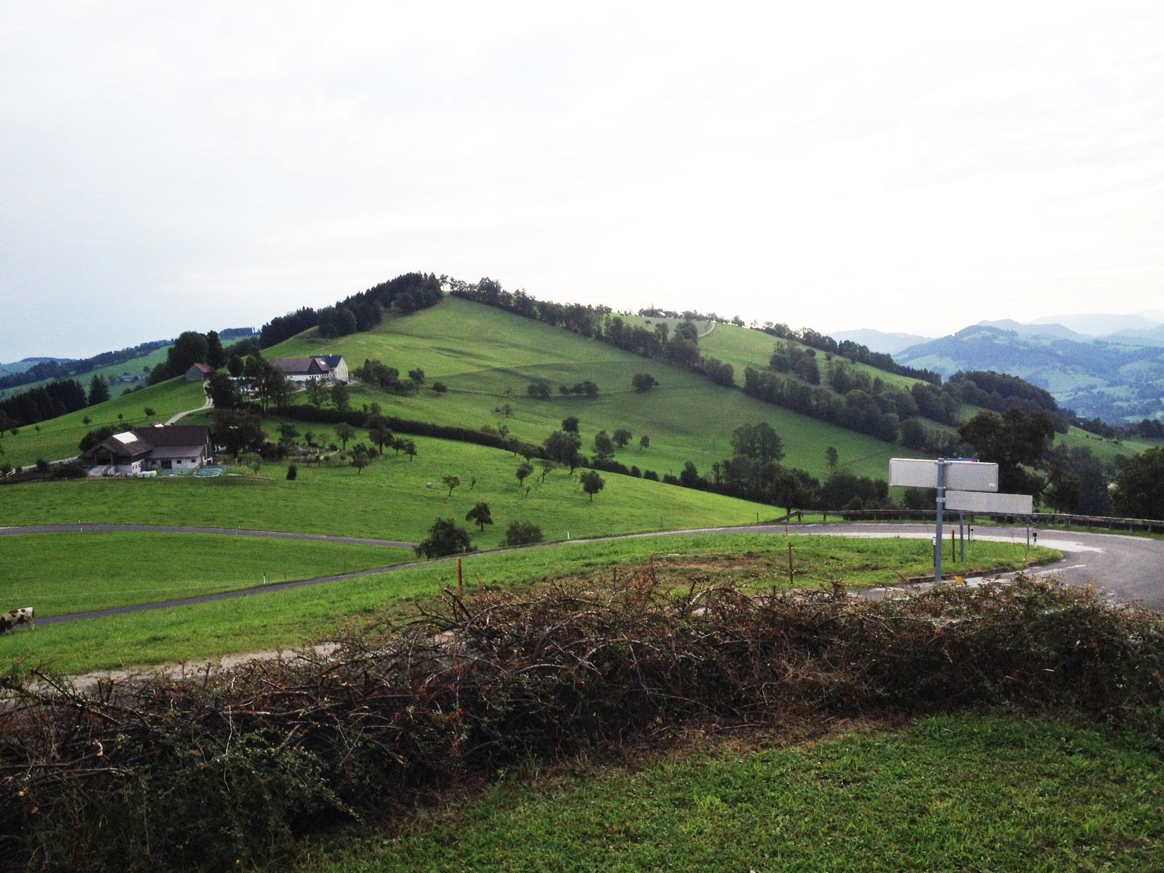 Krajina so zelenými kopcami, farmami a kľukatou cestou.