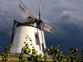 Windm&uuml;hle Retz, &copy; Weinviertel Tourismus / Mandl