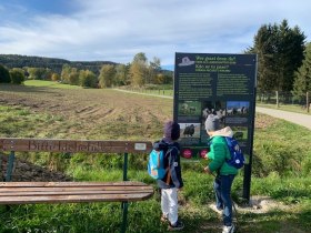 Hoidaweg, © Unknown