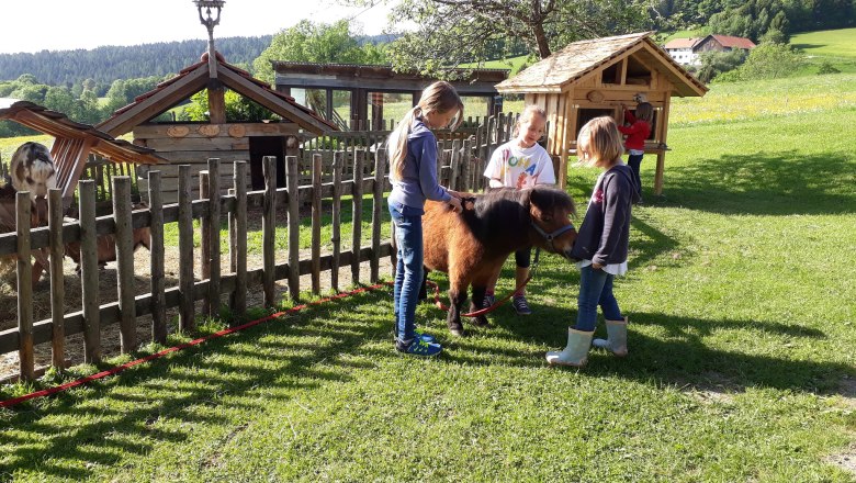 Deti hladkajú poníka na lúke vedľa dreveného plota a malých budov.