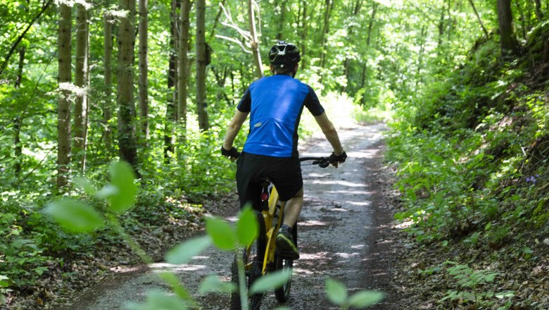 MTB-Touren im Waldviertel, © Donau NÖ_Barbara Elser