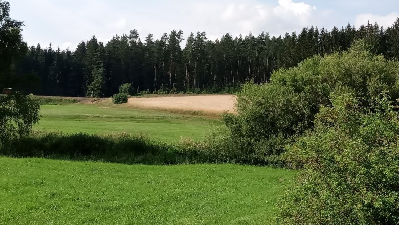 Surroundings, &copy; Ferienhaus Leopold