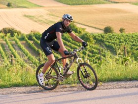 Radfahren im Weinviertel, &copy; Weinviertel Tourismus / Schreiner