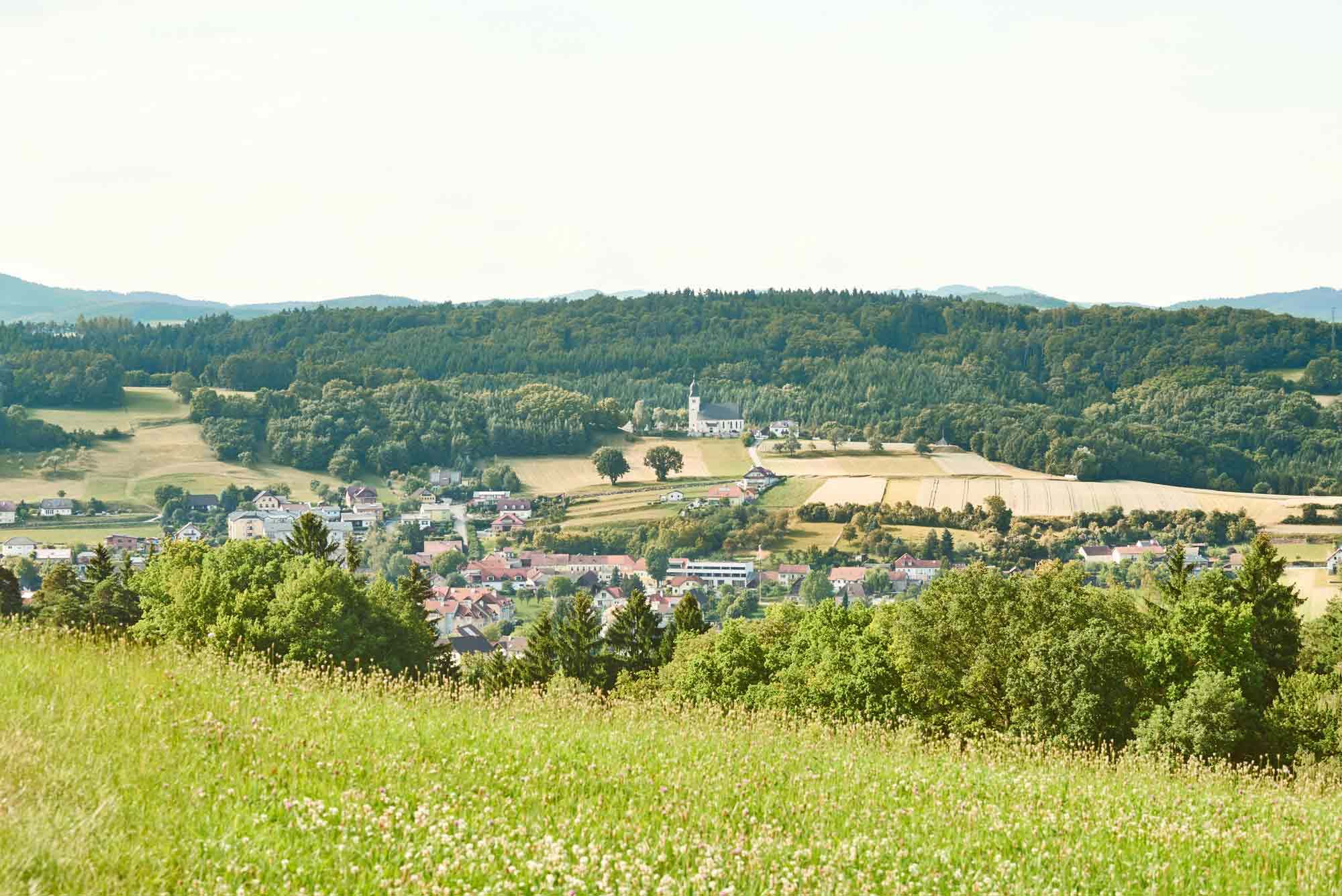 Panoramatický pohľad na Leiben so zelenými poliami a lesmi v pozadí.