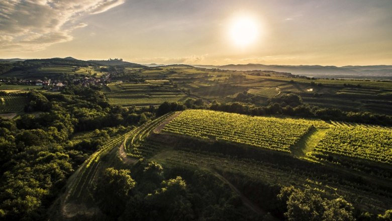 Blick von Krustetten zum Stift Göttweig, © Weingut Müller - pov.at