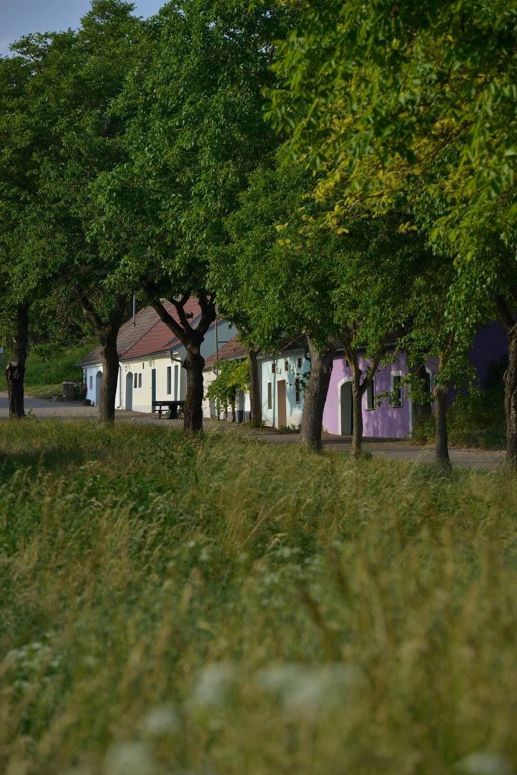 Vínne uličky Thal, Ottenthal, Vinárstvo Maringer