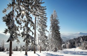Čarovná zimná krajina v Annabergu, © weinfranz.at