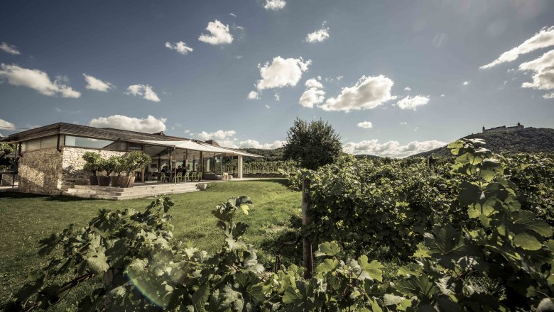 Vinárstvo a hotel MALAT, © MALAT Weingut und Hotel