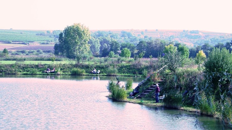 Quiet fishing pond near Unterretzbach, &copy; Gemeinde Retzbach