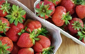Strawberries, Roman remains of Carnuntum, &copy; Donau Nieder&ouml;sterreich